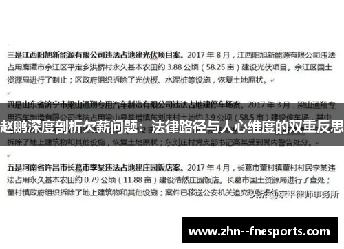 赵鹏深度剖析欠薪问题：法律路径与人心维度的双重反思